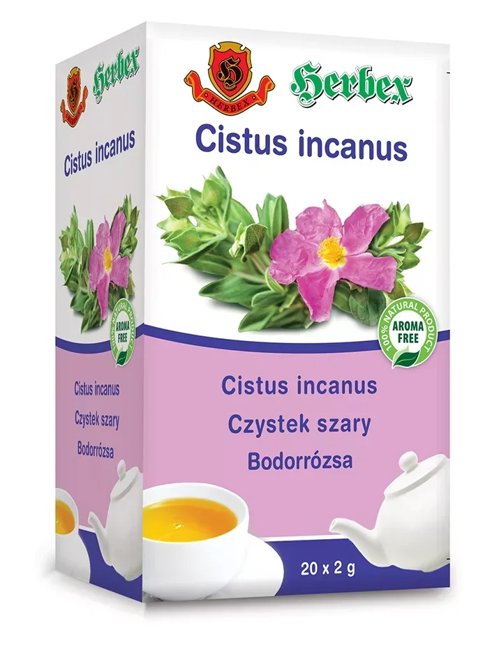 Cistus incanus